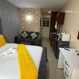Furnished studios Ruaka