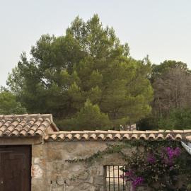 Refugio de Montaña "El Caroche" Alojamiento entero, viešbutis mieste Enguera