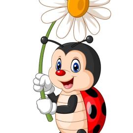 Les coccinelles bretonnes, hôtel à Plouescat