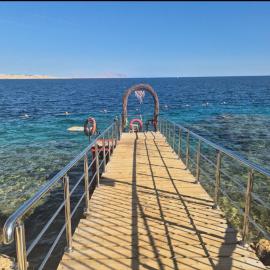 Halomy Resort