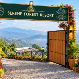 Serene Forest Resort