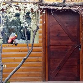 Cabaña azul, Hotel in Los Antiguos