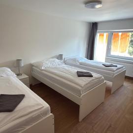 Apartment Tereza, Hotel in Hošťka