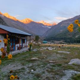 Himalayan Tribe Hostel、Chitkulのホテル