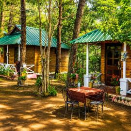 Pine Wood Cottage Jungle Resort, ξενοδοχείο σε Shogi