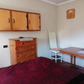 Tafelboom Backroom