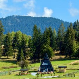 Chalet Charme Bucovina, hotelli kohteessa Coşna