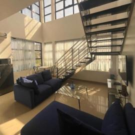 Duplex olas