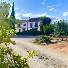 Las Maravillas De Manuel