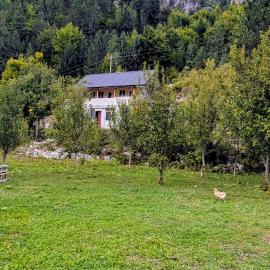 Guests house, Artani