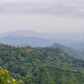 Casa De Campo Finca Agroturistica Bellavista