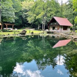 Bistrica Cottage