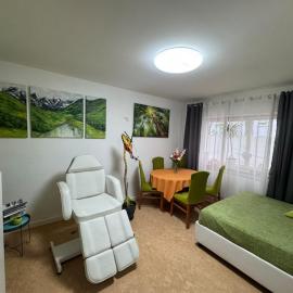 Double Room - Green Augsburg Center - Elenas Special Space, hotel v Augsburgu