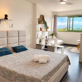 Les Terrasses d'Anissy - Studio cosy, viešbutis mieste Le Tamponas