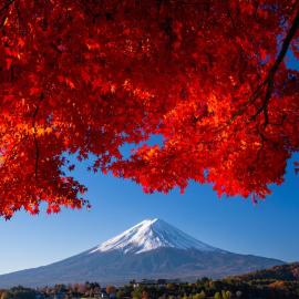 KAMENOI HOTEL Fuji