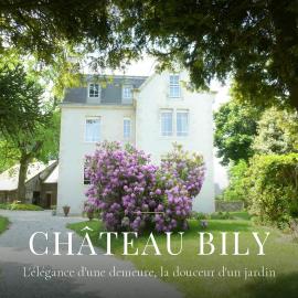 Château Bily B&B Hôtel, hotel in La Chèze
