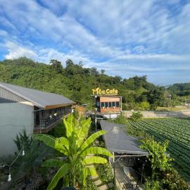 Mộc Homestay - Mộc Châu
