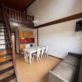 Appartement T2 Mezzanine 8 pers, ski au pied Les Saisies – hotel w mieście Hauteluce