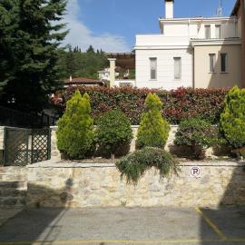 The Garden House