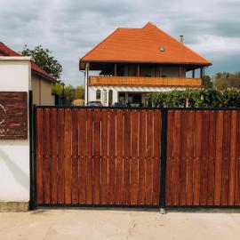 Acasă la Brâncuș
