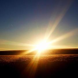 Moos und Morgenlicht