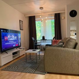 Cozy Apartment with Private Sauna، فندق في فاسا