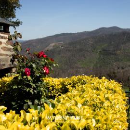 Quinta dos Cotos