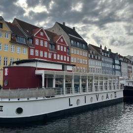 Cozy house by Copenhagen airport