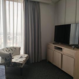 2BDR luxory Penthouse Mountain View