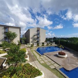 Native Rattan Tropical Living