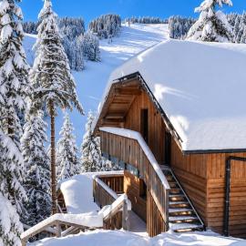 Golte SkiCenter App - SKI IN & SKI OUT & Mountain View