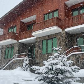 Fortuna Cottage Bakuriani