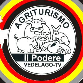 Agriturismo il Podere Vedelago con San Bernardo, Alpaca e una Pentola di cose da scoprire