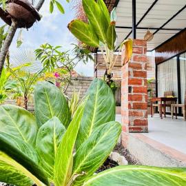 Suka House Lombok