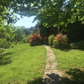 B&B L'Albero Maestro