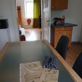 Pension Willi - Geräumige Altbauwohnung 2