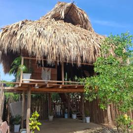 Green Garden Ecolodge - Rincon del Mar