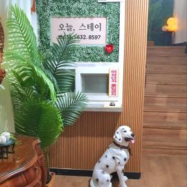 오늘, 스테이