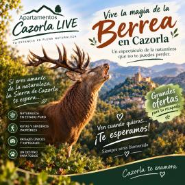 Cazorla LIVE, hotell i Cazorla