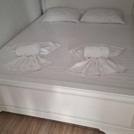 Casa Vișan