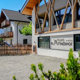 Plattnerhof Viums - Quiet family farm Apartments near Brixen
