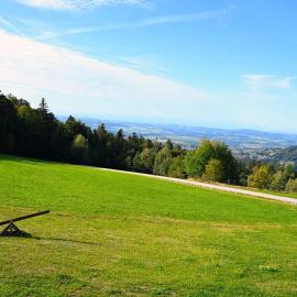 Oberfrauenwald