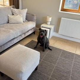 Cottage nestled in the heart of a stunning Suffolk Village โรงแรมในChediston