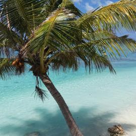 Beach House Maldives, hotel i Keyodhoo
