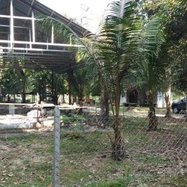 Chalet Kampong Semawar, hotelli kohteessa Kuala Kangsar