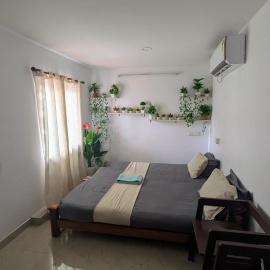 Turtle Island - Ayurveda Backwater Stay, Munroe Island