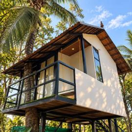 Canopy Tree House、ワイナードのホテル