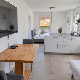 Rothorn Studio - Aare Jungfrau AG