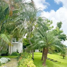 宮古島ペンション道半 pension NTSUNAKA, Hotel in Miyakojima
