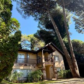 Casa con pileta en el Bosque de Cariló - Ideal Familias